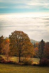 Fototapeta premium Scenic autumn landscape with vibrant trees and clouds.