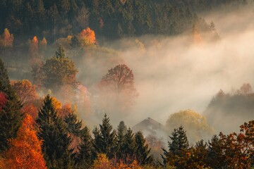 Fototapeta premium Misty autumn forest landscape with vibrant foliage.