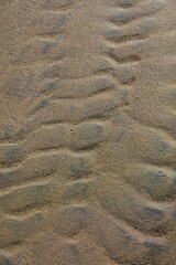 Closeup of beach sand texture background.