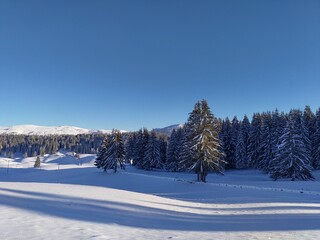 sunny winter landscape view from a mountain range