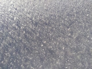 closeup on ice crystal turf