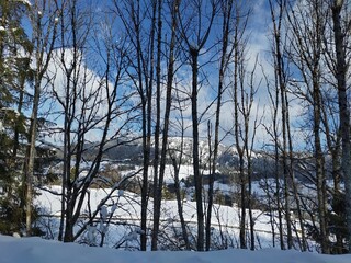 winter landscape on the road with lake view behind bald trees