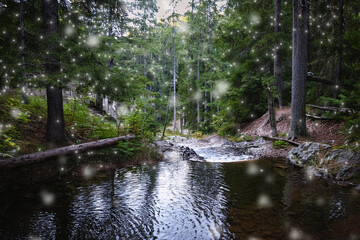 Image of a snowy waterside landscape