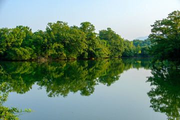 Tranquil Lake Reflection with Lush Green Trees