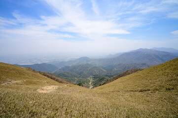 竜ヶ岳の登山道
