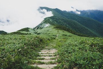 雲に覆われる夏の登山道@平標山