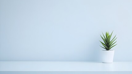 Minimalist White Background with Soft Blue Tint for Text and Product Placement