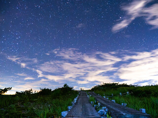 夜の登山道