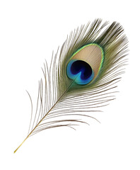 Fototapeta premium Vibrant peacock feather with an iridescent eye-spot. Isolated on transparent white background, png