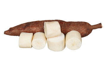 Single whole raw cassava root with some peeled cuts isolated transparent