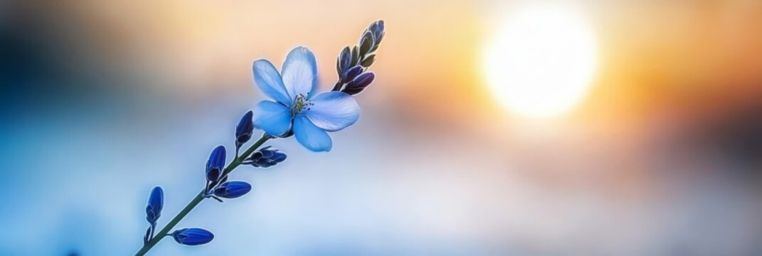  A tight shot of a blue bloom against a radiant sunbackground