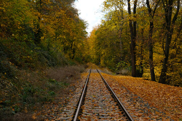Obraz premium Picturesque landscape of railroad tracks stretching into the distance into autumn forest. Trees in vibrant shades of red, orange and yellow foliage create a stunning natural autumn blurred background.