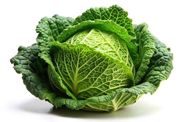 Obraz premium Raw green cabbage isolated on white background low angle view