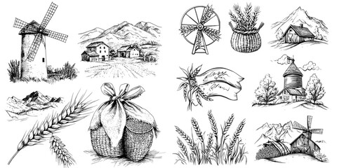 A collection of hand drawn wheat illustrations featuring a bag of grains, a windmill, ear spikes, and seeds from the vintage style of the early 1900s.
