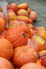 Close-up side view of large group of fresh ripe orange pumpkins lying outdoors on wooden floor on agricultural fair in autumn day. Soft focus. Copy space. Agriculture and food business theme.