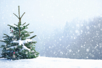 Fototapeta premium A small evergreen tree is covered in snow. The snow is falling gently around the tree, creating a peaceful and serene atmosphere. Concept of calm and tranquility