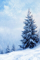 Obraz premium A snow covered pine tree stands in a snowy field. The sky is clear and blue, and the snowflakes are falling gently. The scene is peaceful and serene, with the tree providing a sense of stability