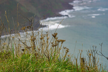 Beautiful coastal path senda de los miradores en Muros de Nalon, Asturias, Spain