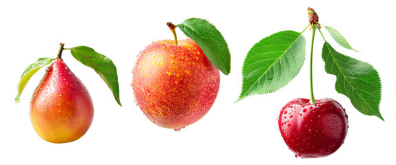 Set of peach, pear, cherry or nectarine covered in dew drops, surrounded by green leaves isolated on white background.