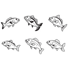 Bass fish vector silhouette