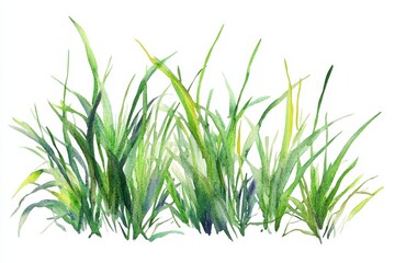 Fototapeta premium Serene Watercolor Fresh Green Grass on White Background for Eco-Friendly Designs