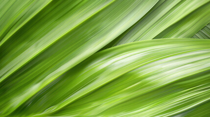 green leaf texture