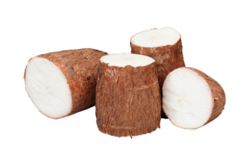 Cuts of cassava roots isolated transparent