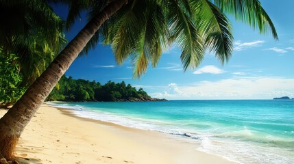 Obraz premium Serene Tropical Beach with Palm Trees and Clear Waters