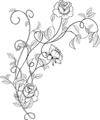 Rose garden illustration in Fine line art 