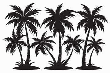 Obraz premium A monochrome image shows six palm trees of different sizes and shapes in black and white against a white backdrop, framed in black. Trunks and leaves vary in thickness.