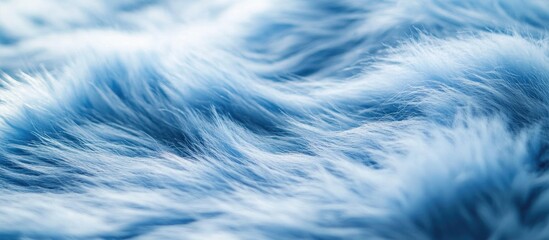 Obraz premium Blue Fur On A White Background Fur Samples For The Catalog Macro Shot Of Fur
