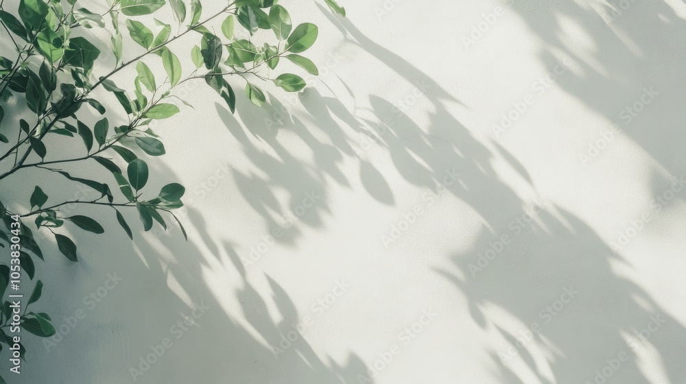 Poster blank white horizontal poster or card mockup featuring soft tree leaves and branch shadows against a