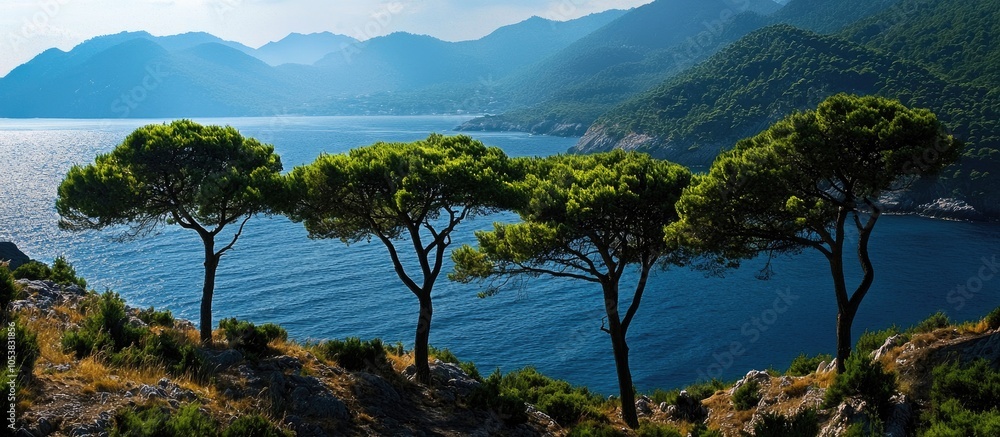 Poster trees on the background of the sea and mountains