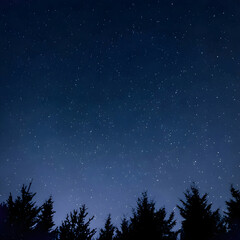 sky full of stars and silhouettes of trees below