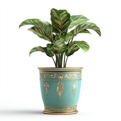 Fototapeta premium Decorative green plant in an ornate turquoise pot, white isolated background.