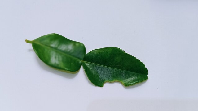 Lime leaves are a plant that can be used as an additional flavor enhancer in cooking.
