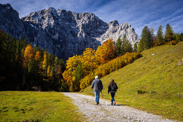 hiking in the mountains of the alps in austria in autumn with yellow trees