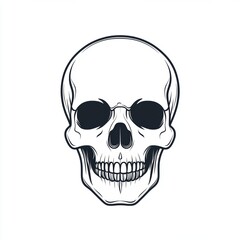 Obraz premium Closeup view of skull. The decoration element for Halloween.