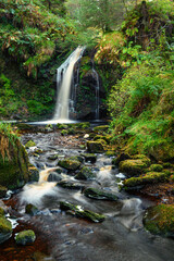 Obraz premium Hindhope Linn in portrait, a waterfall located at the northern end of the Kielder Forest Drive in Northumberland