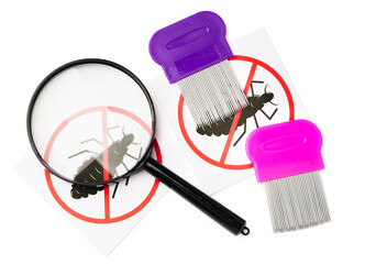 A magnifying glass and lice combs placed side by side on a clean white background