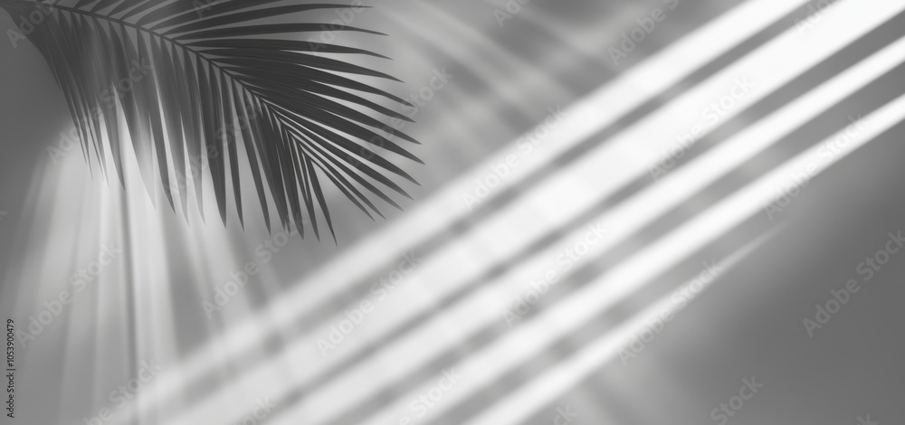 Poster a transparent shadow overlay effect and natural lighting in a room are mocked up on a transparent ba