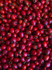 red hawthorn fruit pattern scatter