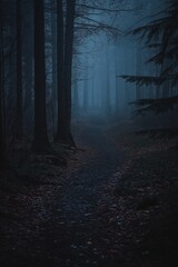 Fototapeta premium A fog-shrouded forest pathway evokes mystery and introspection, under soft, ethereal moonlight at night.