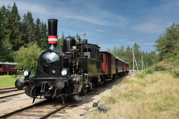 Vintage Steam Locomotive on Scenic Forest Railway Track