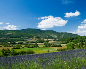 Obraz premium French Countryside in the Luberon