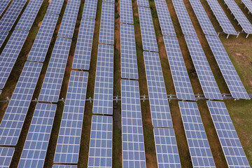Engineer Inspecting Solar Panels at Power Plant