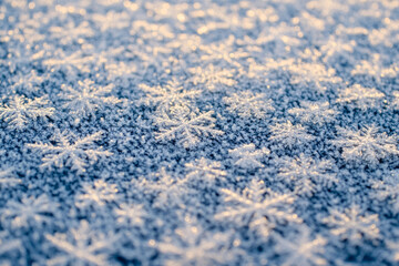 Obraz premium A snow covered ground with many snowflakes