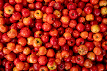 Small rounded red fruits with an acidic taste. Acerola cherries for sale in the market.