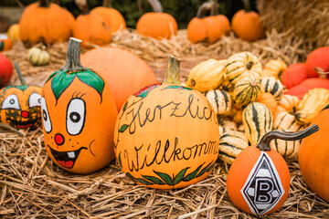 Painted pumpkin and gourds with faces, displayed on straw as Halloween decorations.