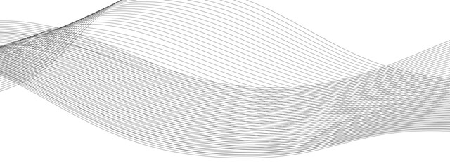 Fototapeta premium Grey wavy curve line with digital future technology concept background. Gray wavy business and banner curve line background. 